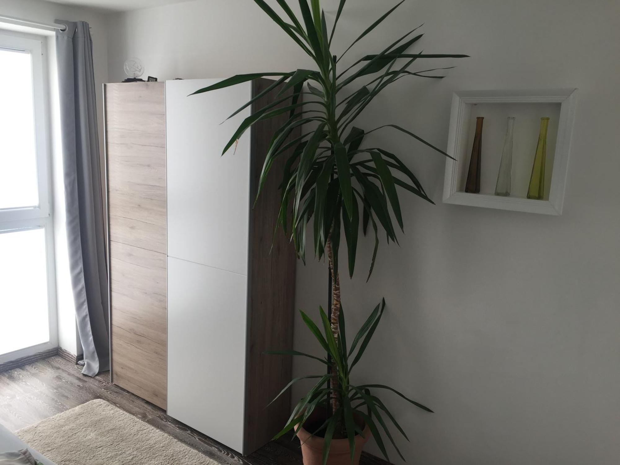 Nahrstedt Apartment Waldeck (Hessen)