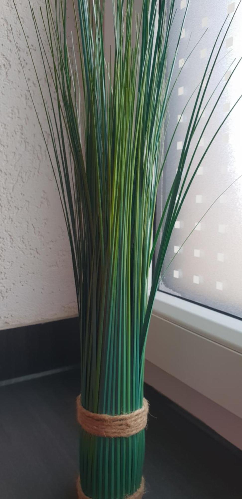 Nahrstedt Appartement *